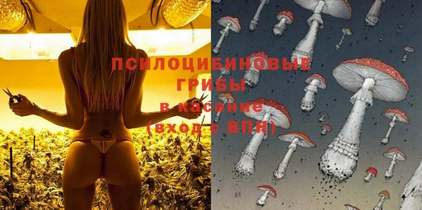 СК Алексеевка