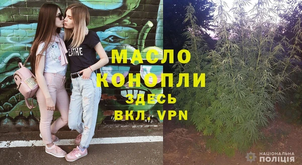 прущие грибы Алзамай