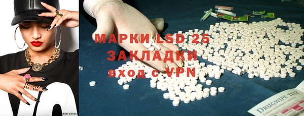 прущие грибы Алзамай