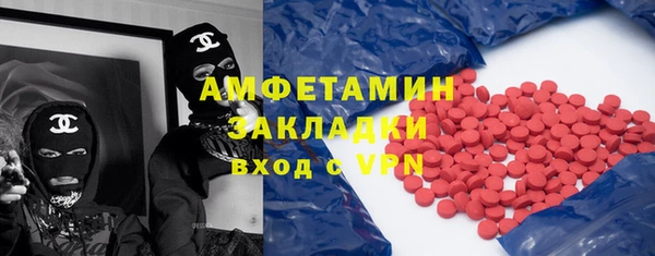 прущие грибы Алзамай