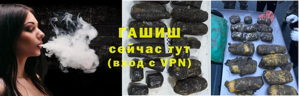 прущие грибы Алзамай