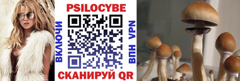 Купить закладки  Слюдянка  Псилоцибиновые грибы MAGIC MUSHROOMS 